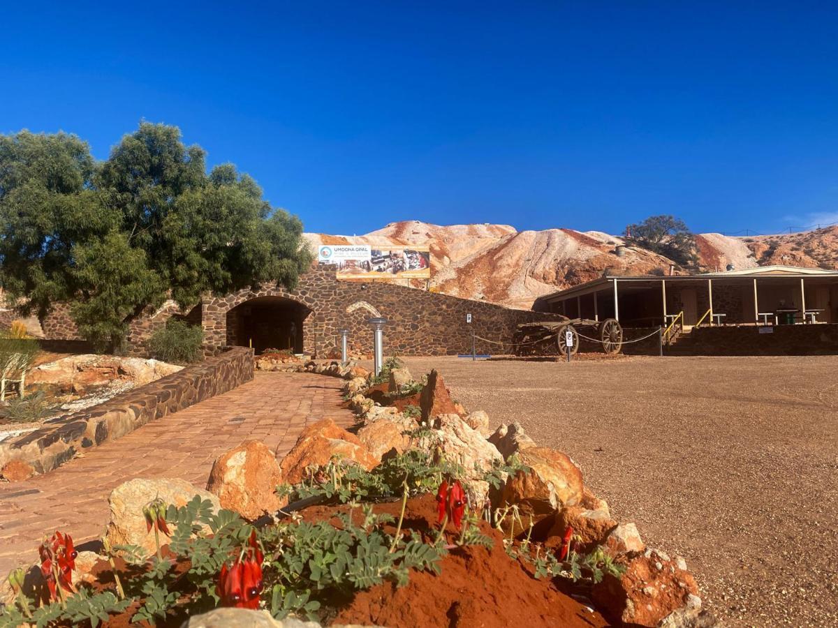 Apartment Ali's Underground Coober Pedy